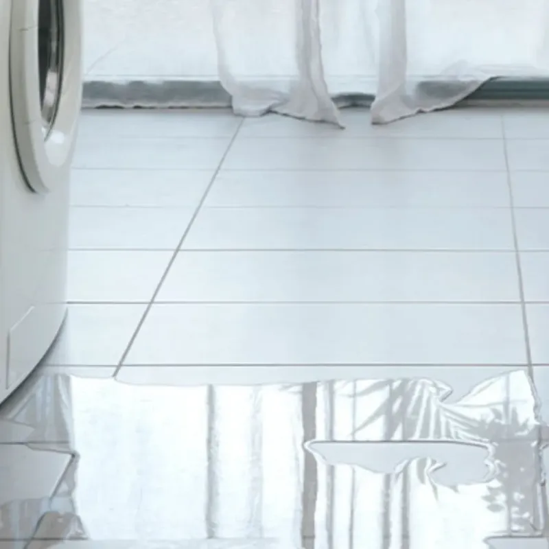 Appliance Leak Cleanup in Bulverde, TX
