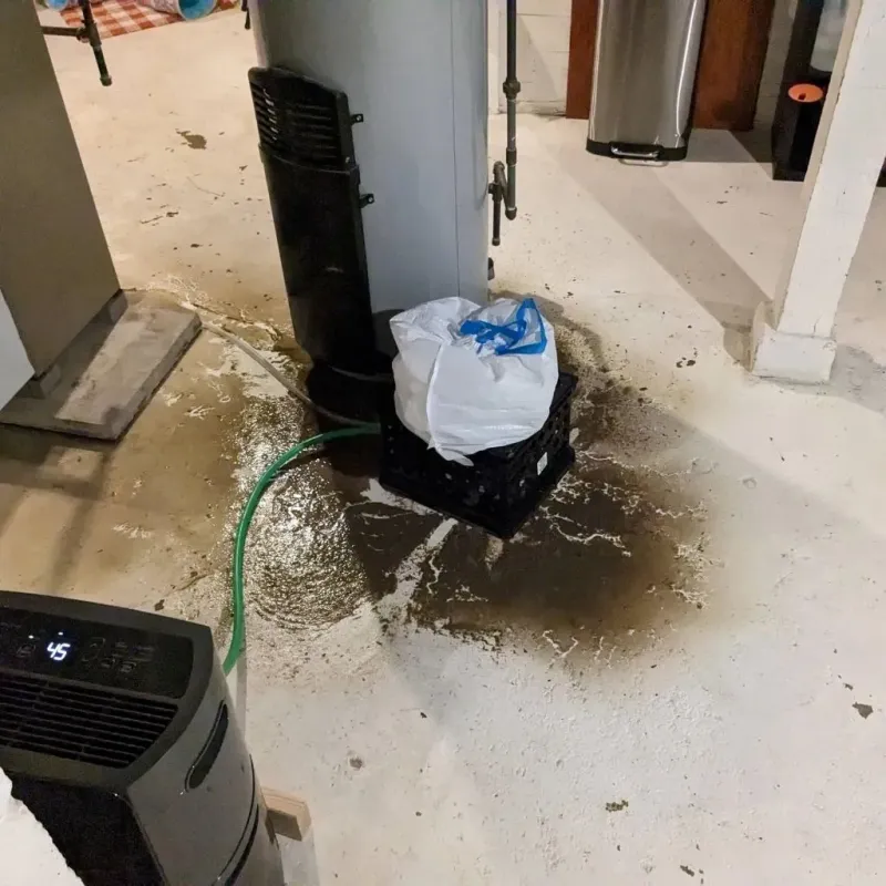 Sewage Backup Cleanup Service in Bulverde, TX